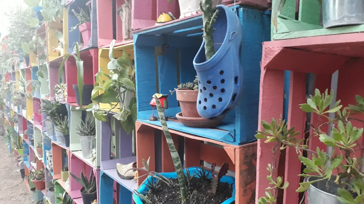 zapatos-1